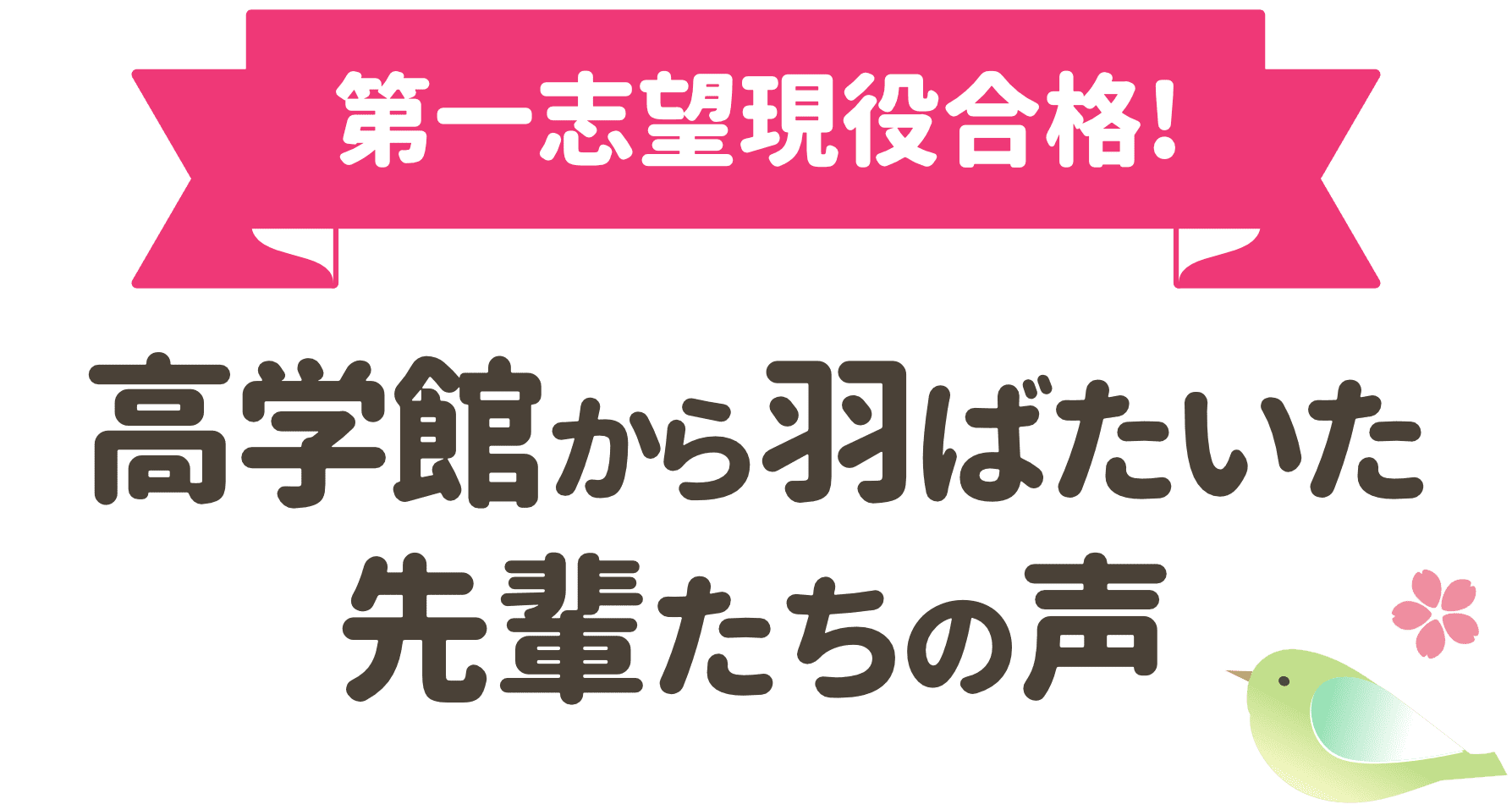 高学館から羽ばたいた先輩たちの声
